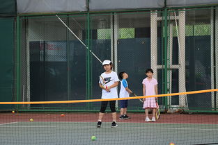 上海体育夏令营为何受欢迎 组织规范还给家长 送实惠
