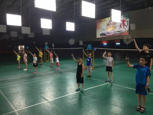 瓯海区社会力量竞技体育训练机构系列报道 5 瓯海区小水滴青少年体育俱乐部